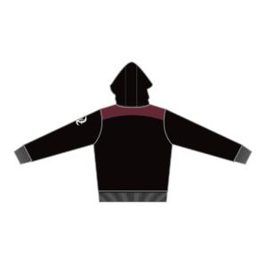 VL87807 - baseball queensland - 1489 hoodies - mens -youth - back