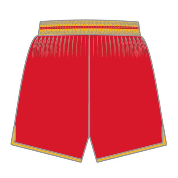 Basketball SA SPP Player - TRAINING Men's Training Shorts