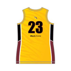 VL89531 - southern tigers - 6240 - v neck reversible basketball singlet - unisex - youth(curves)_back 2