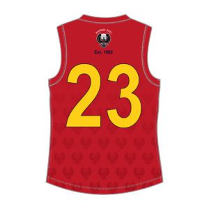 South Australian AFL Masters - AFL GUERNSEY - MENS